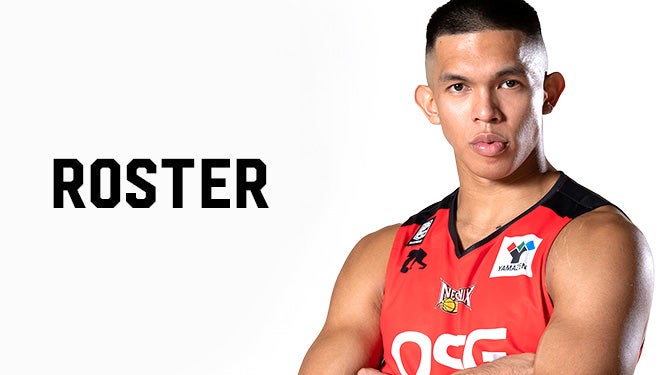 チーム情報 三遠ネオフェニックス