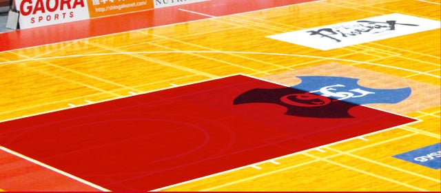 フェニックス ドリームアリーナ 初観戦の方へ|イメージ35