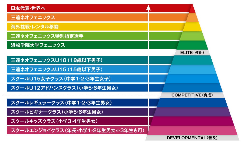 三遠ネオフェニックス強化育成ピラミッド